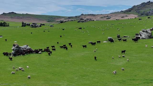 755-971 Linnburn Runs Road Paerau_3