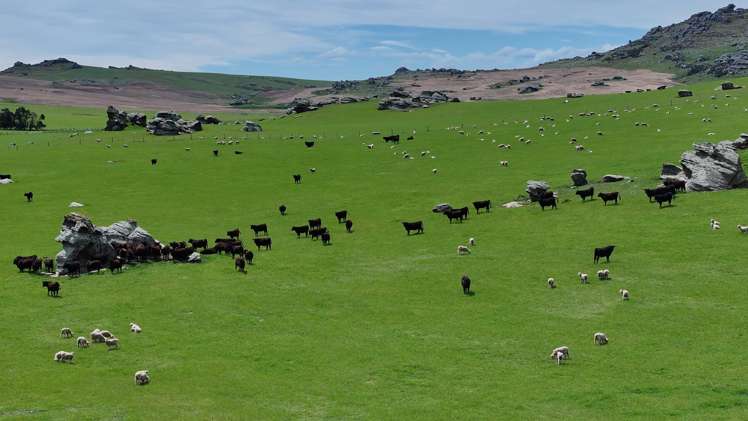 755-971 Linnburn Runs Road Paerau_3