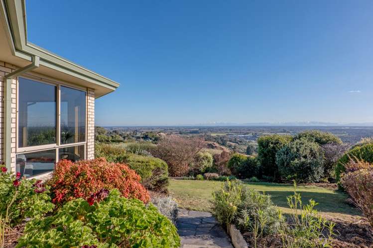 3 The Rocks Kennedys Bush_25