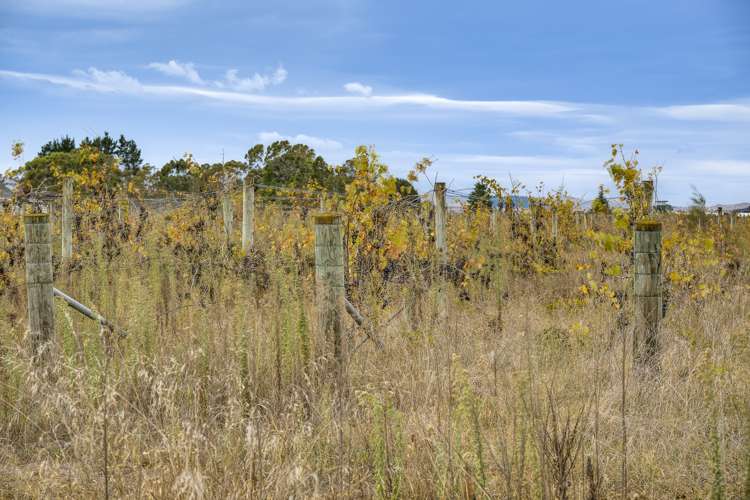 75 Mere Road Fernhill_9