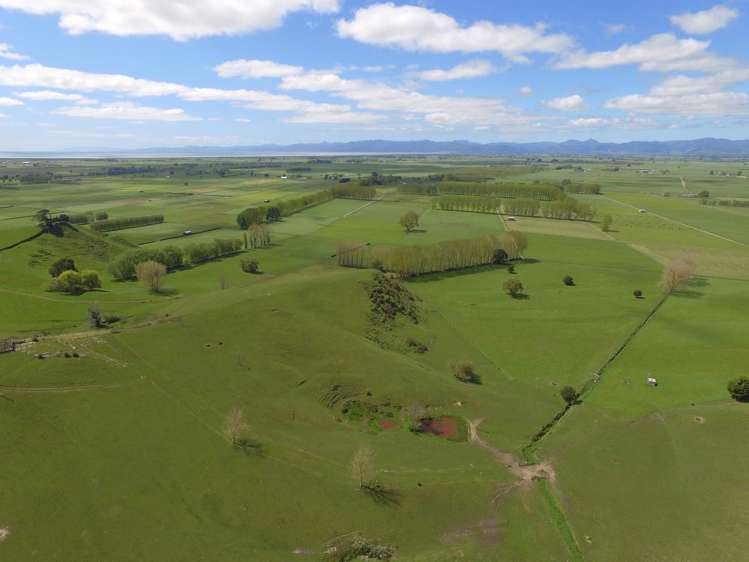 399 Mahuta Road Mangatarata_12