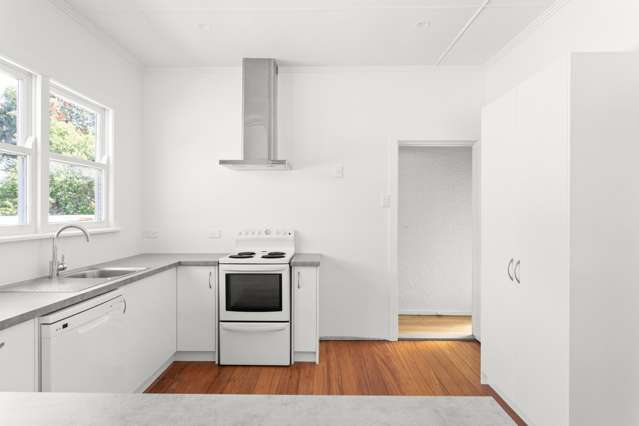 6 Turenne Street Inner Kaiti_1