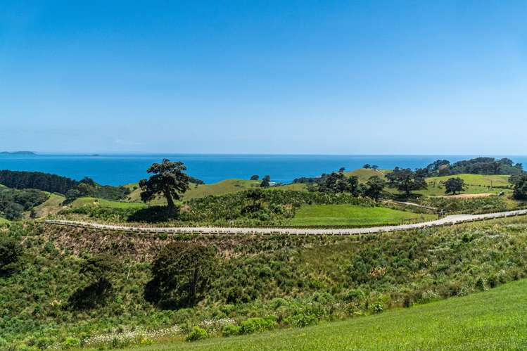 7 Tukere Lane Waiheke Island_4