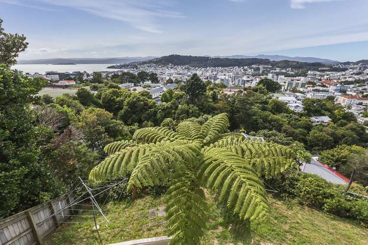 60 Fairlie Terrace Kelburn_18