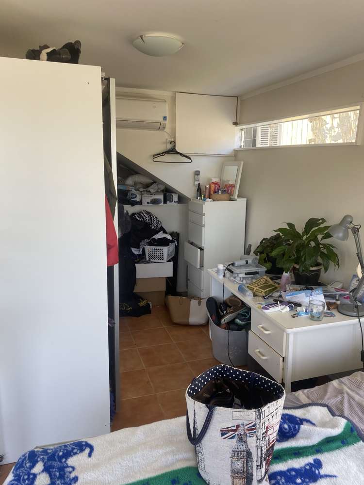 102 Sunrise Avenue Mairangi Bay_8