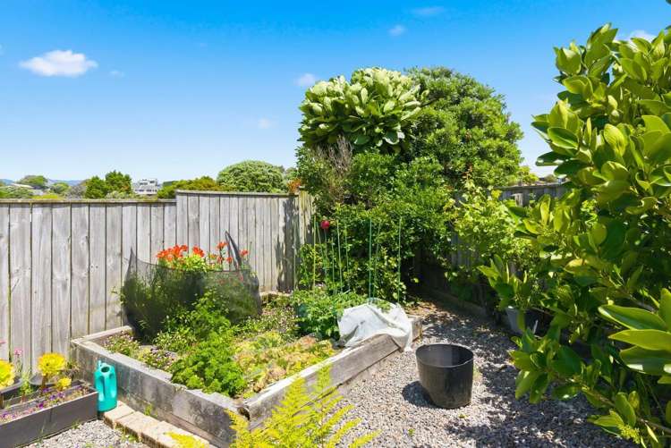 10 Barrett Drive Waikanae Beach_22