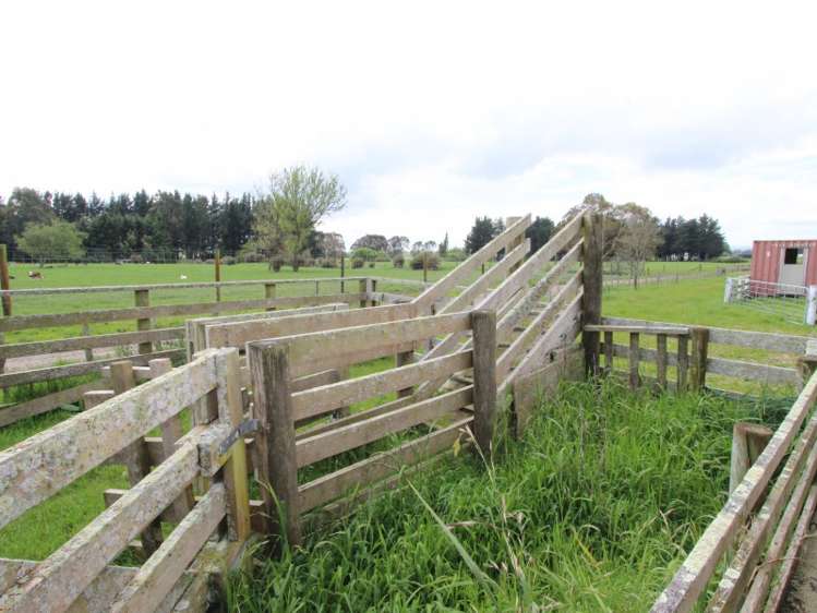 568 Ruawhata Road Pahiatua_13