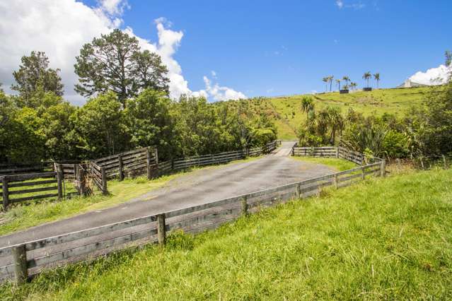 383A Busby Road Katikati_4