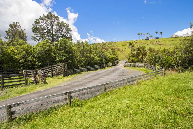 383A Busby Road Katikati_4