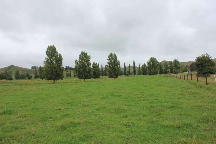 85 Veale Road Otorohanga_5