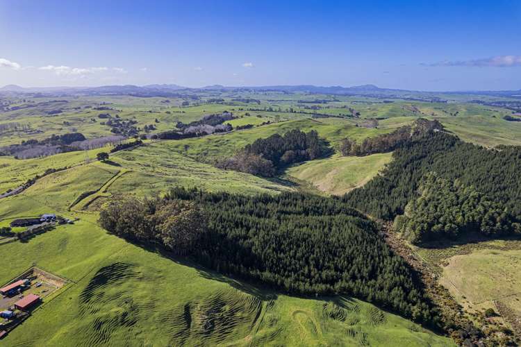 Cnr Milne and Aponga Stream Road Purua_12