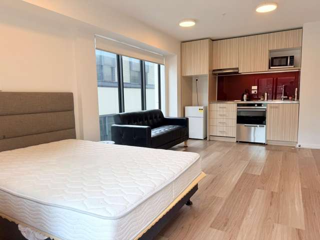 501A/111 Dixon Street Te Aro_2