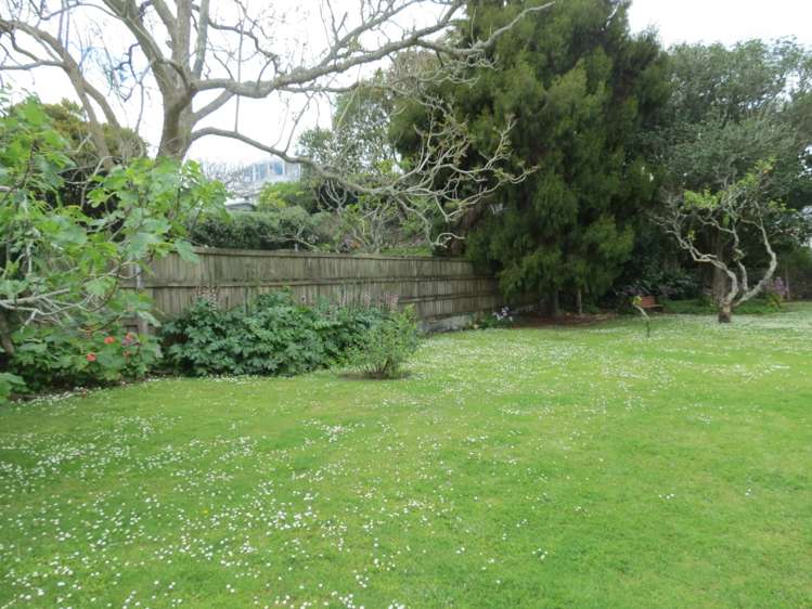 6 Buchanan Street Devonport_11