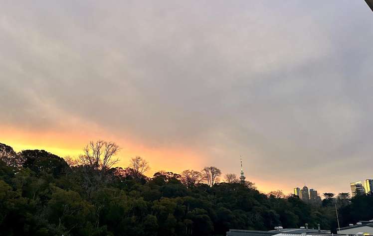 9/27 Birdwood Crescent Parnell_15