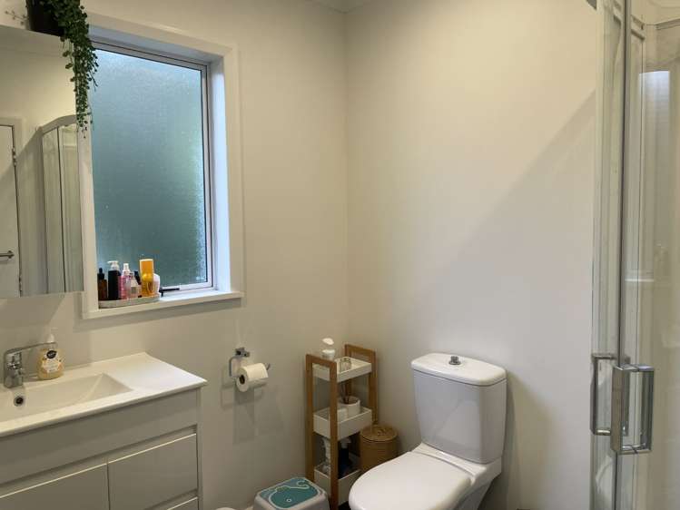 22a Hine Road 10629_11