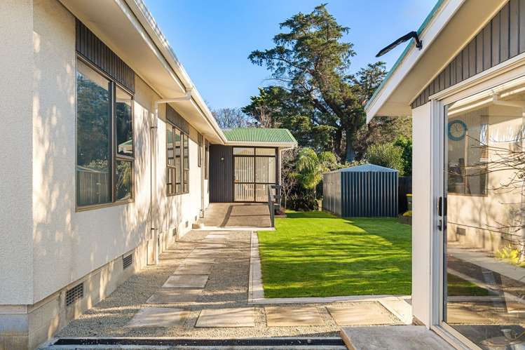 110 Harris Street Inner Kaiti_21