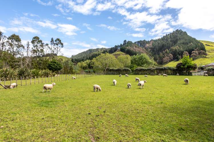 24 Ohaene Drive Thames_28