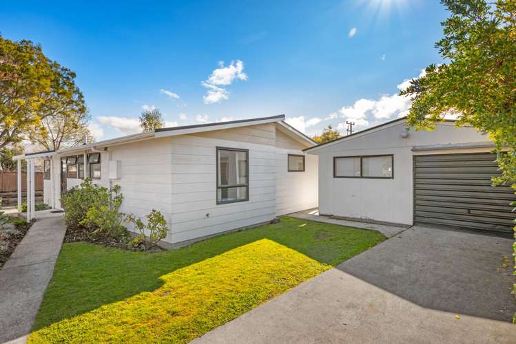 9a Edith Street Redwoodtown_5