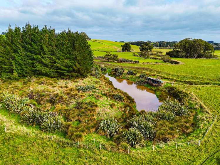 301 Waimahaka Fortification Road Wyndham Surrounds_5
