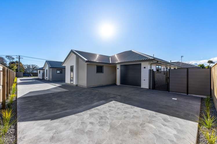 38C George Street Levin_24