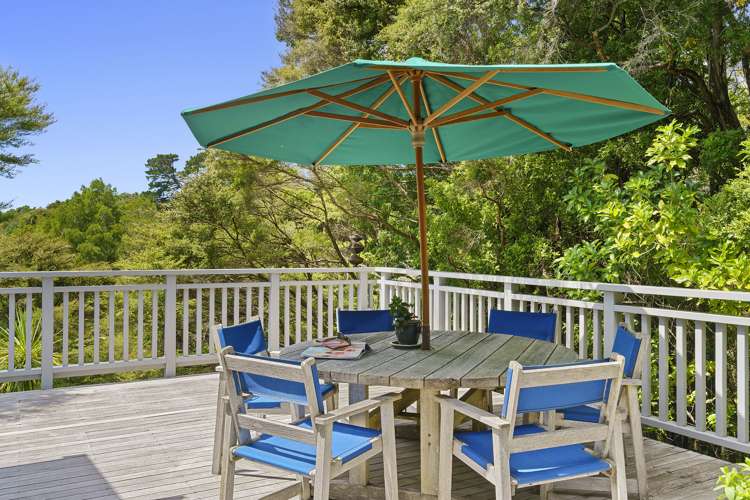 152 Wright Road Dairy Flat_2