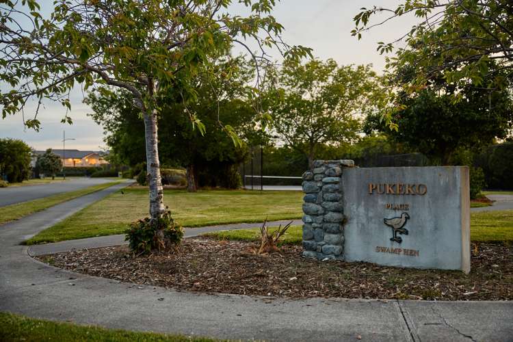 8 Pukeko Place Kaikoura_87