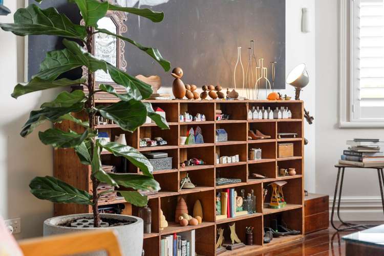 7 Harbour Street Saint Marys Bay_26