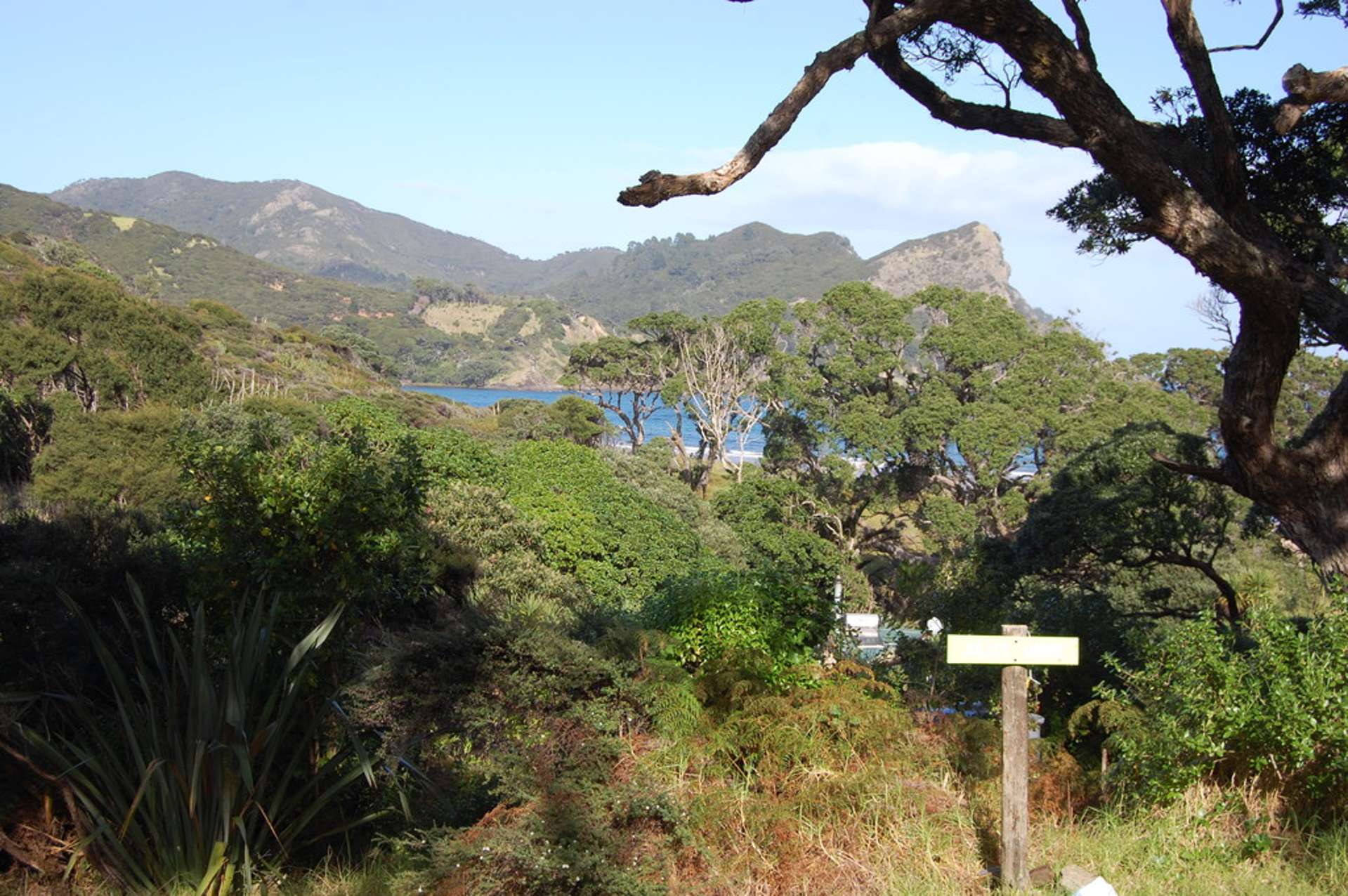 13 Workington Road Great Barrier Island (Aotea Island)_0