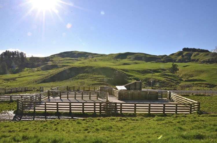 154 State Highway 3 Te Kuiti_14