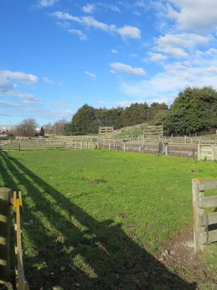 649 Kauru Hill Road Five Forks and Surrounds_54