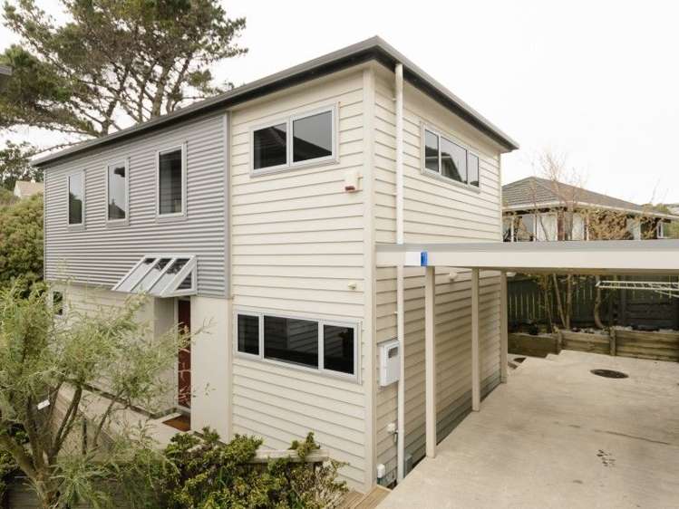 5d Stephen Street Johnsonville_0