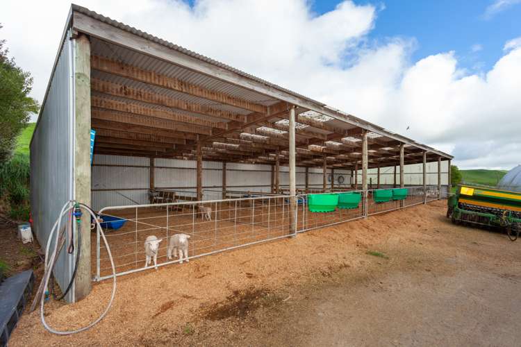 390 Parapara Road Tirau_7