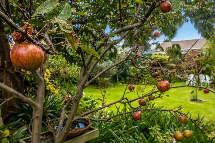 18a Dennis Taylor Court Paraparaumu_15