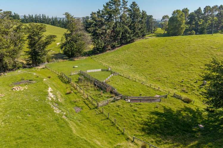 299 Domett Road Domett_19