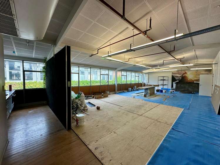 4 Brown Street Ponsonby_5