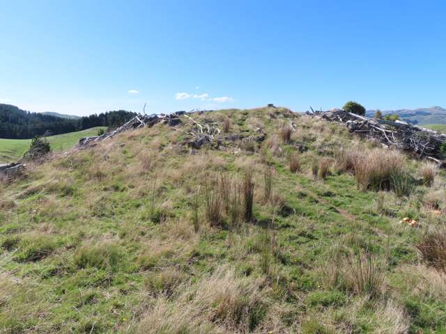 210 Mangamaire Road Dannevirke_3