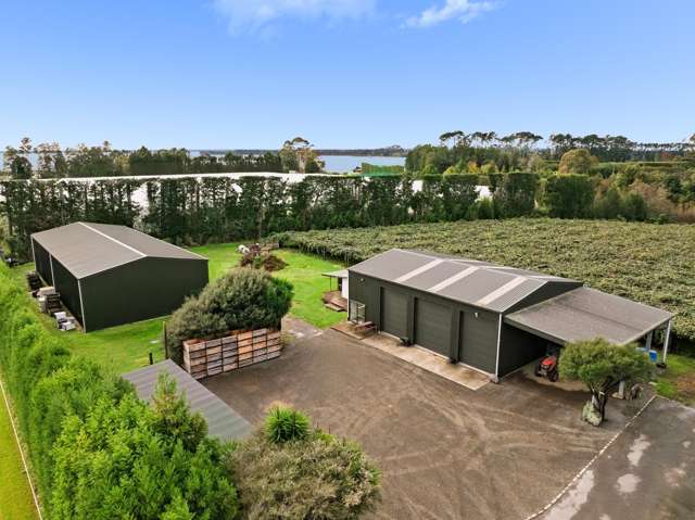 236 Walker Road East Aongatete_2