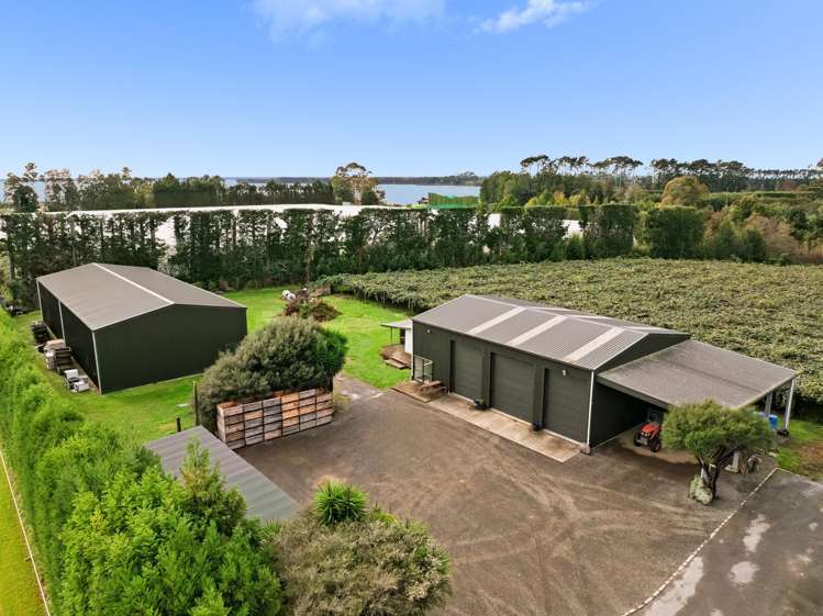 236 Walker Road East Aongatete_2