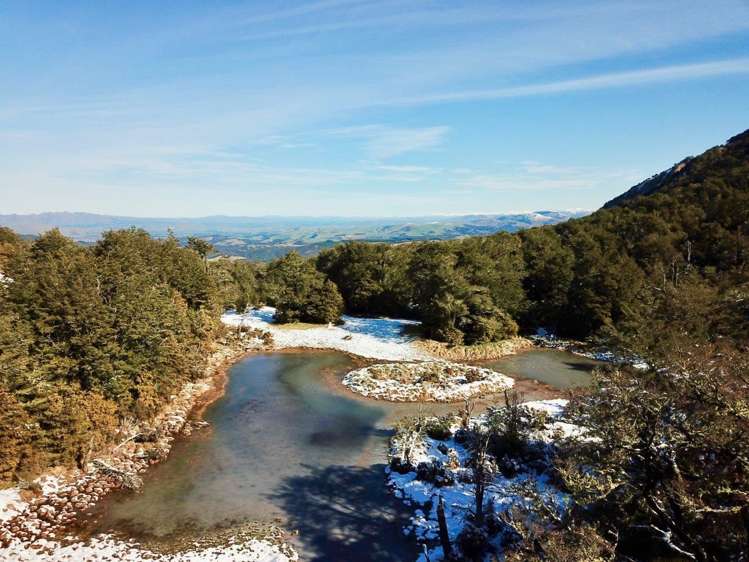 100 Mount Lyford Forest Drive Lyford_9