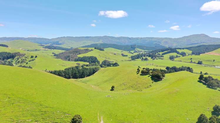 83 Towai Road Dannevirke_41