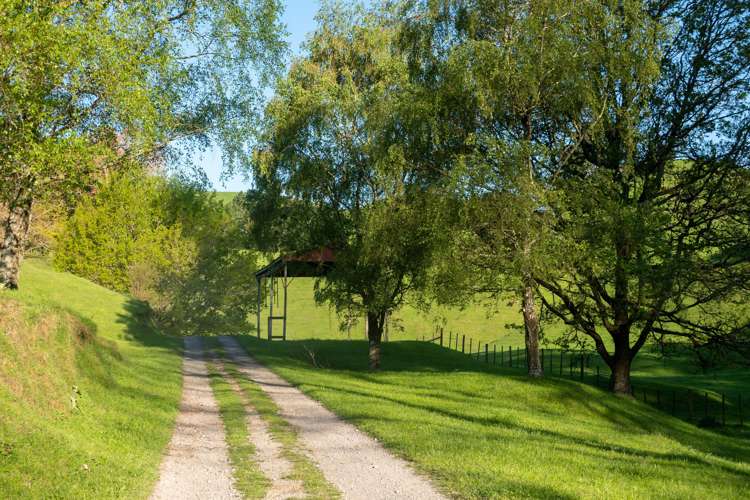 2261 Te Kopia Road Reporoa and Surrounds_5