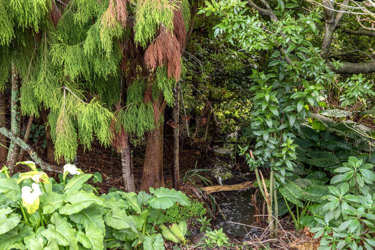 4/87 Cook Street Howick_20