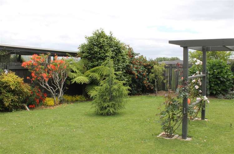 10 Catherine Crescent Te Aroha_13