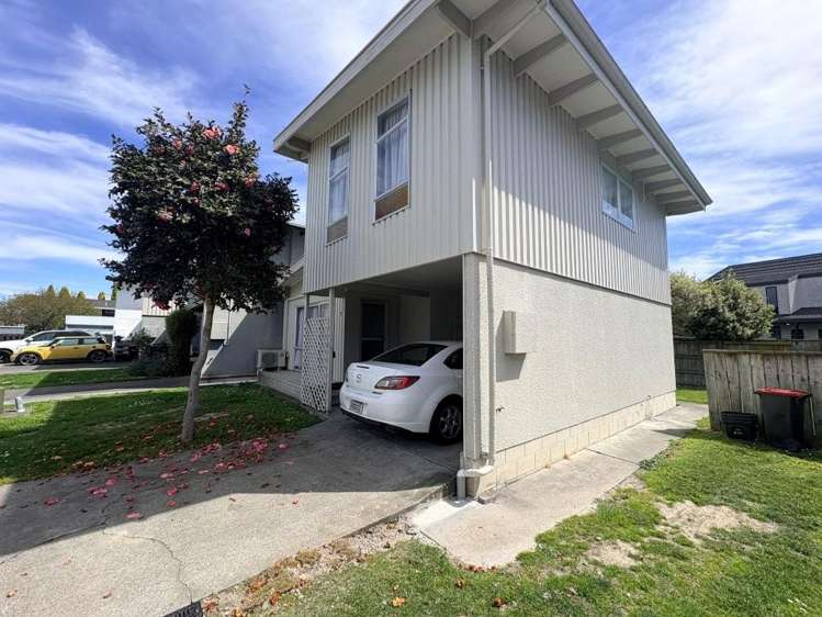 7/51a Avenue Road Greenmeadows_12