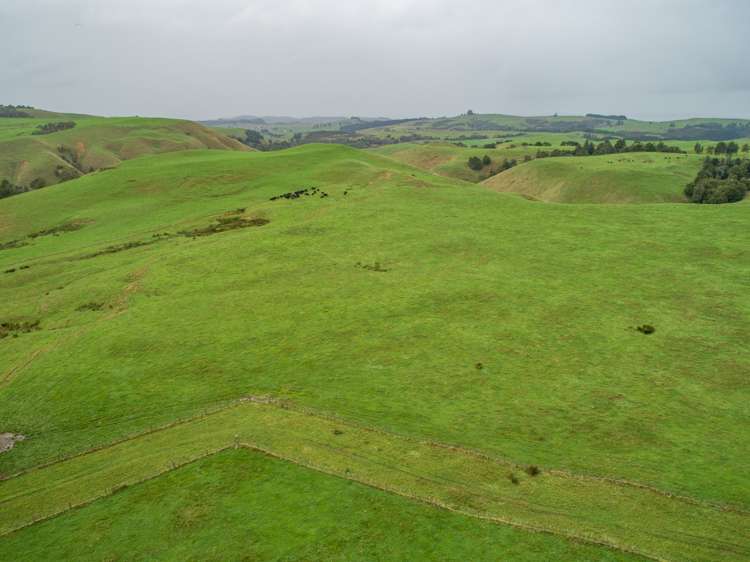 401 Waikaretu Valley Road Glen Murray_16