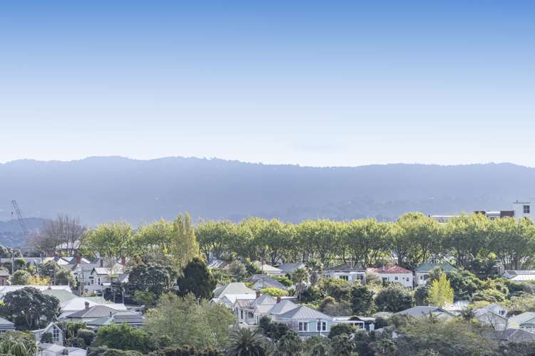 30c Pollen Street Grey Lynn_13