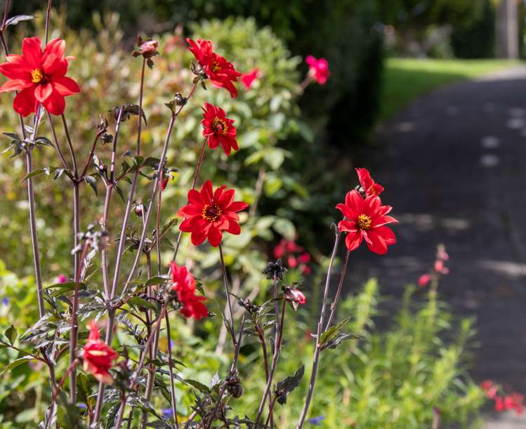 52 Rayner Road Huntly_16