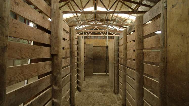 137 McLeods Road Palmerston_16