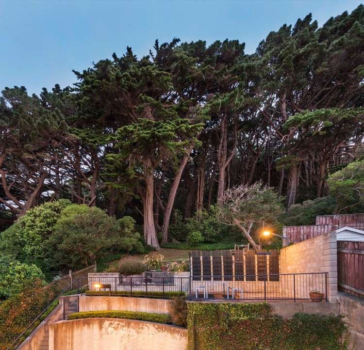 13 Scarborough Terrace Mount Victoria_18