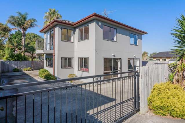 120A Luke Street East Otahuhu_2